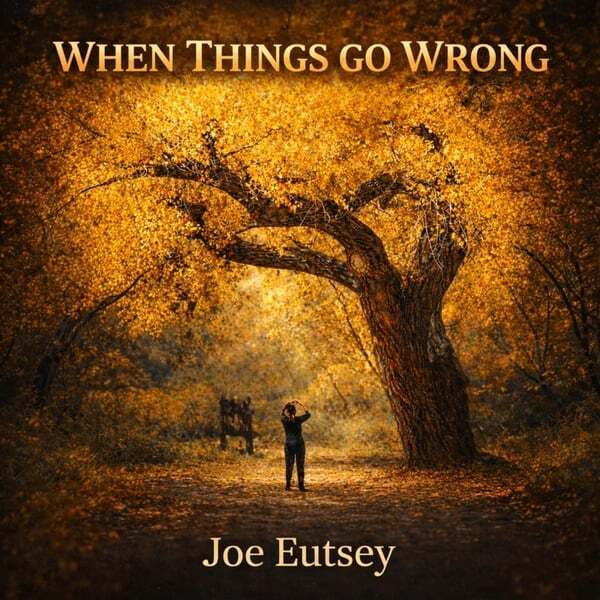 Cover art for When Things Go Wrong